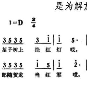 是为解放受苦人_民歌简谱_词曲: 湖南怀化革命民歌