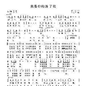 我是你的鸽子花_歌曲简谱_词曲:金沙词 李亮华