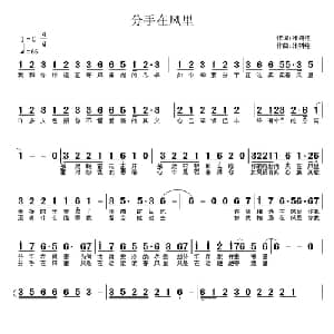 分手在风里_通俗唱法乐谱_词曲:张树铭 张树铭