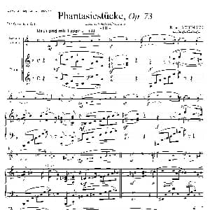 萨克斯谱 | 舒曼幻想曲三首 Op73 Ⅲ 中音萨克斯 钢琴伴奏