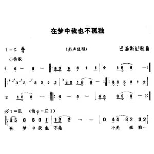 在梦中我也不孤独 巴基斯坦 _外国歌谱