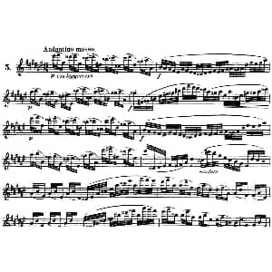 长笛曲谱 | 柯勒30首高级长笛练习曲作品75号 NO.5 Kohler 柯勒