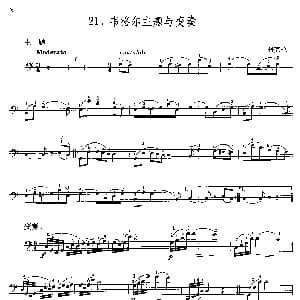 韦格尔主题与变奏 大提琴 丹克拉