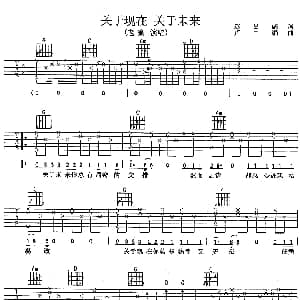 关于现在 关于未来 吉他谱 老狼 赵昌彪 卢中强