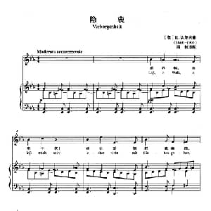 隐衷 奥地利 _外国歌谱_词曲: 奥 H.沃尔夫