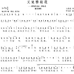 又见攀枝花_通俗唱法乐谱_词曲:王德清 田晓耕