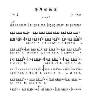 等待你的爱_歌曲简谱_词曲:苏军 苏军
