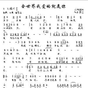 全世界爱的就是你_歌曲简谱_词曲:火凤凰 张世军