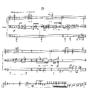 生旦净末丑 净 钢琴谱 王阿毛