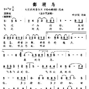 鄱湖鸟_通俗唱法乐谱_词曲:田信国 田信国