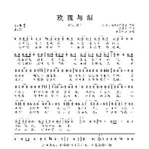 玫瑰与泪_歌曲简谱_词曲:锦衣小盆友&灰原穷 灰原穷