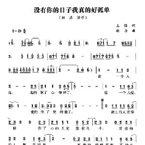 没有你的日子我真的好孤单_通俗唱法乐谱_词曲:王强 胡力