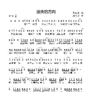 迷失的方向_歌曲简谱_词曲:李昀轩 周永财