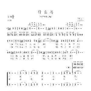 什么鸟_歌曲简谱_词曲:李旺儒 吴建清