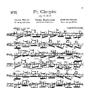 53首以肖邦练习曲为素材而作的练习曲 钢琴谱 里奥鲍尔德 戈多夫斯基