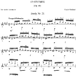 Mauro Giuliani 12 Studies,Op.48 吉他谱