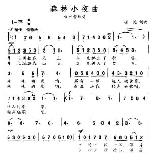 森林小夜曲_通俗唱法乐谱_词曲:程恺 程恺