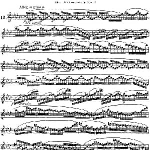 长笛曲谱 | 柯勒30首高级长笛练习曲作品75号 NO.12 Kohler 柯勒