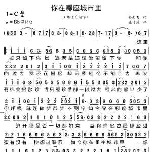 你在哪座城市里_歌曲简谱_词曲:余云飞 林沛涌