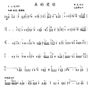 二胡谱 | 真的爱你 王国潼编曲