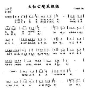 ​37大红公鸡毛毛腿_民歌简谱_词曲: 山西忻县民歌