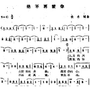 苏芮演唱金曲 绝不再爱你_通俗唱法乐谱_词曲:佚名 佚名