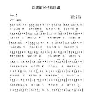 想你的时候流眼泪_歌谱投稿_词曲:徐美琳 秦立新