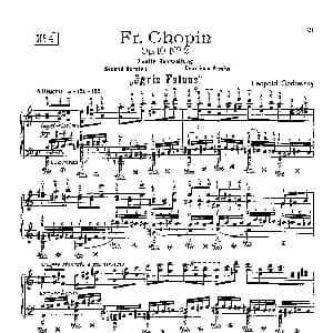 53首以肖邦练习曲为素材而作的练习曲 钢琴谱 里奥鲍尔德 戈多夫斯基