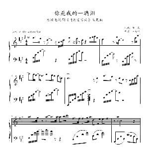 你是我的一滴泪 钢琴谱 李泉