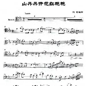 山丹丹花开红艳艳 巴松 刘琦编曲