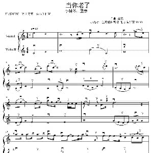 小提琴谱 | 当你老了 二重奏 赵照作曲 YOYO