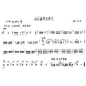 二胡谱 | 山村盛开大寨花 赵砚臣