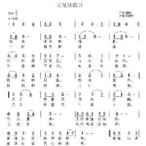 又见紫薇开_通俗唱法乐谱_词曲:施翔 张恽文