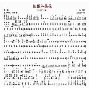 拔根芦柴花_歌曲简谱_词曲: 王爱康编曲