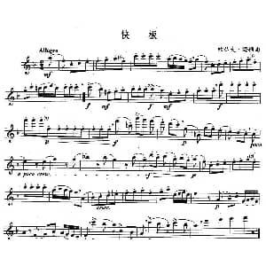 长笛曲谱 | 快板 约瑟夫 海顿