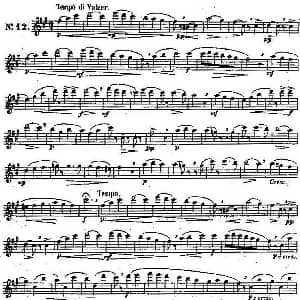 长笛曲谱 | 二十首练习曲作品131号 NO.12 Garibold 加里波第