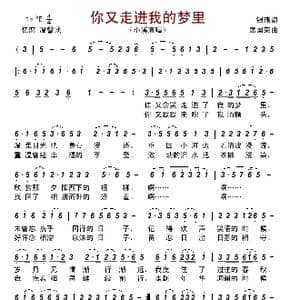你又走进我的梦里_歌曲简谱_词曲:银燕 席国荣