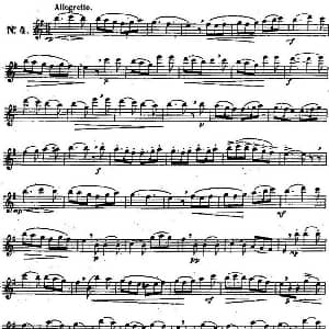 长笛曲谱 | 二十首练习曲作品131号 NO.4 Garibold 加里波第