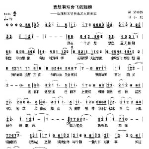 我想有双会飞的翅膀_通俗唱法乐谱_词曲:吴明强 小纪