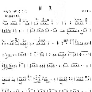 二胡谱 | 田间