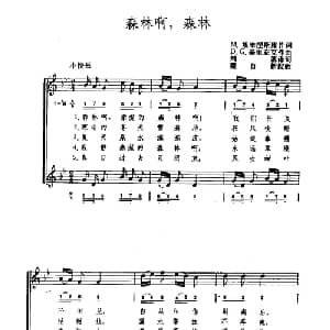 森林啊森林 罗马尼亚 _外国歌谱