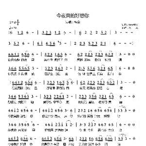 今夜真的好想你_歌谱投稿_词曲:轻云望月 轻云望月