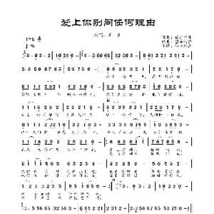 爱上你别问任何理由_歌曲简谱_词曲:轻云望月 轻云望月