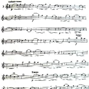 长笛曲谱 | 三十首小练习曲作品120号 NO.3 Garibold 加里波第