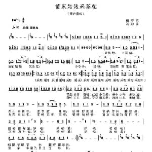 苗家姑娘采茶忙_儿歌乐谱_词曲:杨军发 刘念