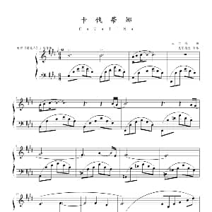 卡伐蒂娜 钢琴谱 迈尔斯