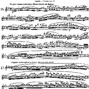 长笛曲谱 | 卡 伊勒特30首长笛练习曲Op.107 NO.16 NO.18 Karg Elert 卡 伊勒特