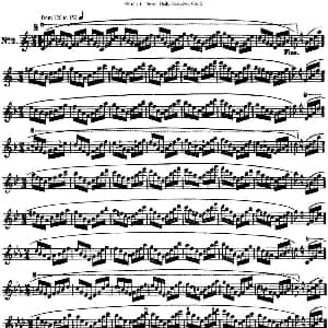 长笛曲谱 | 瑞澈特七首每日长笛练习曲Op.5 NO.2 Reichert 瑞澈特