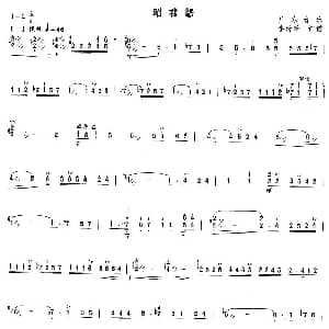 扬琴谱 | 昭君怨