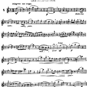 长笛曲谱 | 三十首基础及提高练习曲 NO.5 Garibold 加里波第